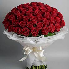 Букет 101 Красная роза Блэк Мэджик в Ржаксе