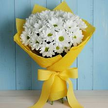 Букет цветов из:  Хризантемы в Ржаксе