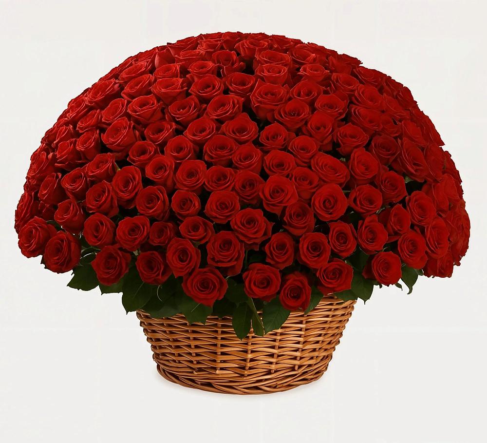 Премиум букет из: Розы в Ржаксе