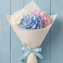 Букет цветов из:  Гортензия в Ржаксе