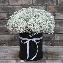 Цветочная композиция из Гипсофила в шляпной коробке в Ржаксе